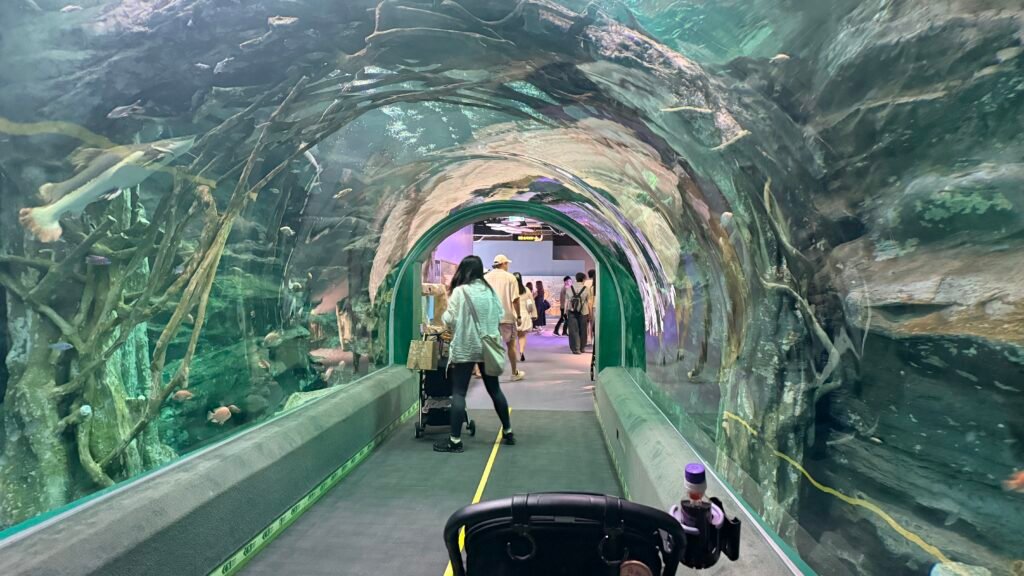 Rivers of the Rainforest freshwater tunnel at Lotte World Aquarium