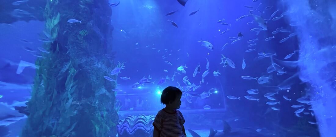 A Parent’s Guide to Lotte World Aquarium in Jamsil, Seoul