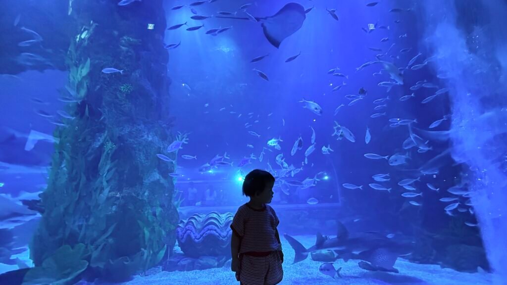 The Ocean main tank at Lotte World Aquarium in Seoul